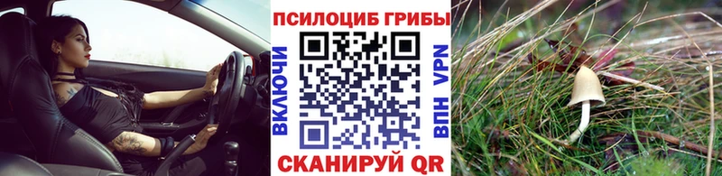что такое наркотик  Углич  Галлюциногенные грибы мухоморы 